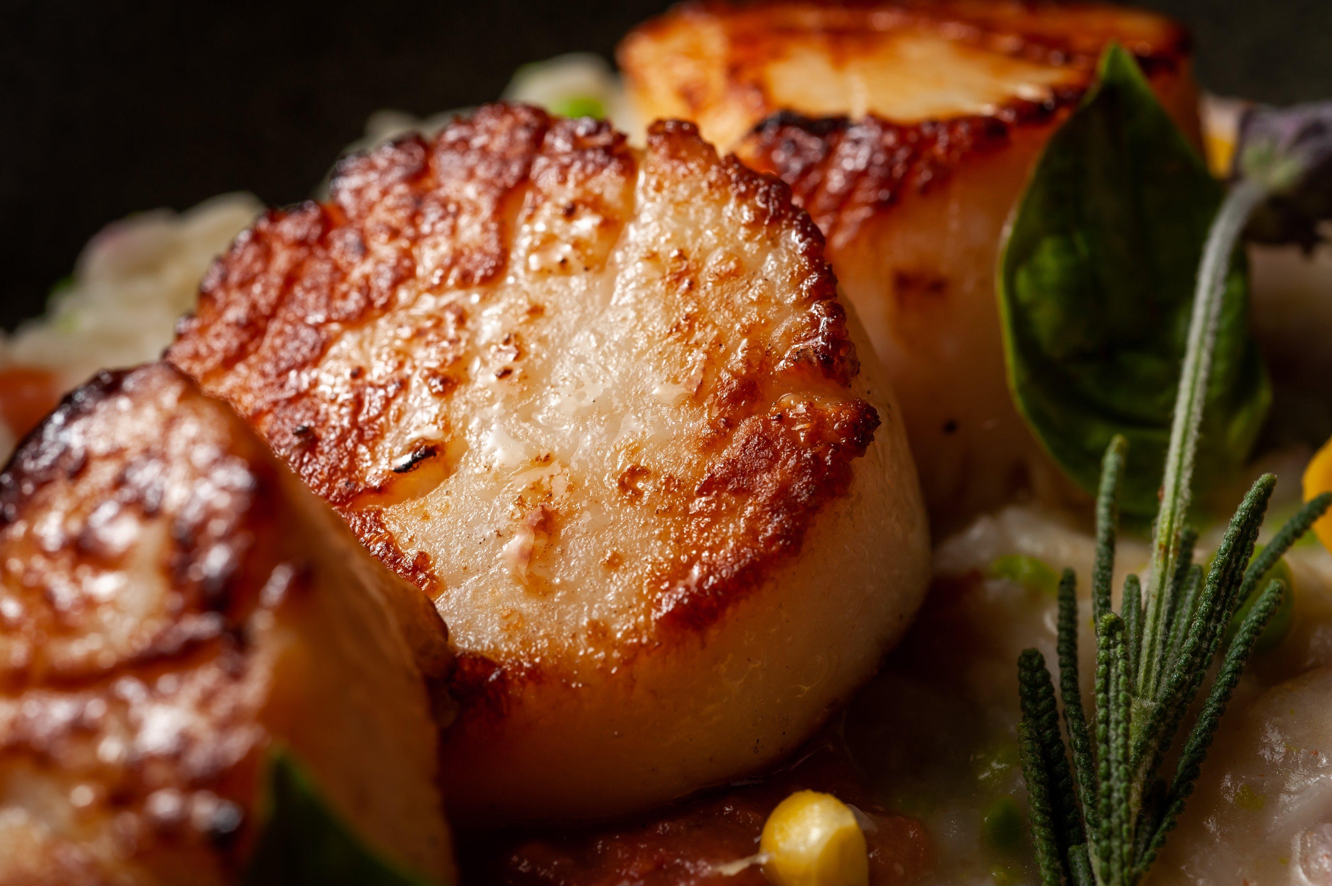 Kimpton Epic Hotel By Ihg Miami Exterior photo Pan-seared scallops